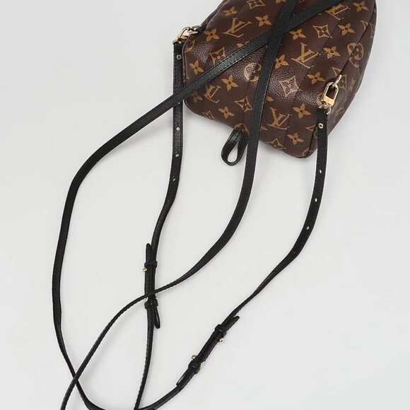 Louis Vuitton Monogram Canvas Palm Springs Mini Backpack Bag - Picture 3 of 11